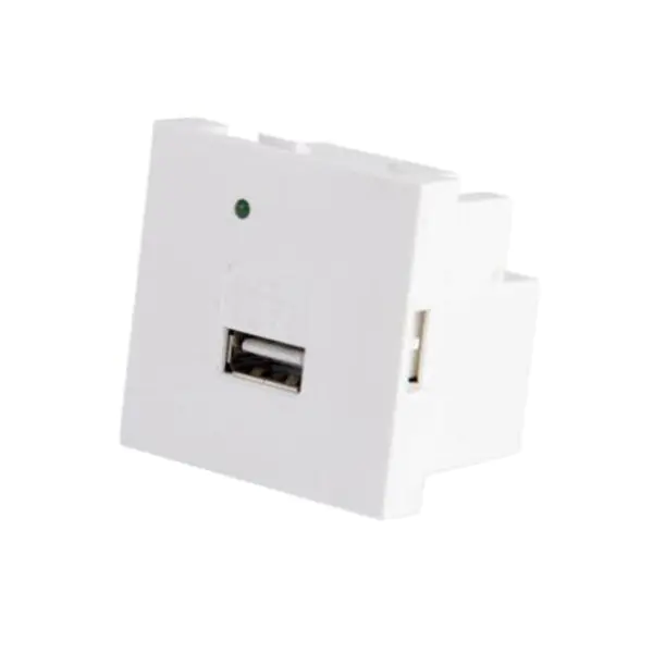 Type A Usb charger socket module with smooth panel